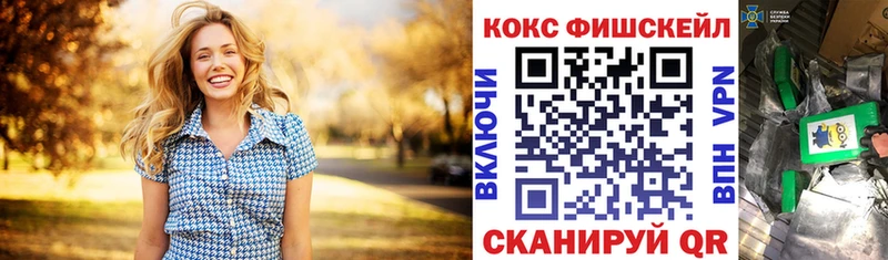COCAIN FishScale  Купить закладки  Кириши 