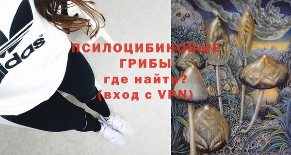ALPHA PVP Медвежьегорск