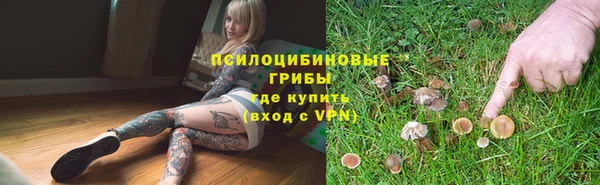 ALPHA PVP Медвежьегорск
