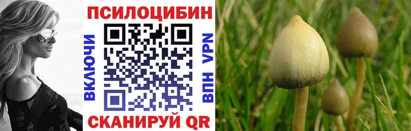 Купить закладки  Кириши  Галлюциногенные грибы мухоморы 